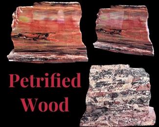 Petrified wood slab