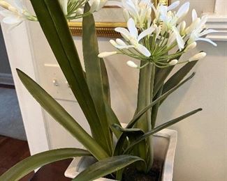$60. Faux Agapanthus and Italian pot