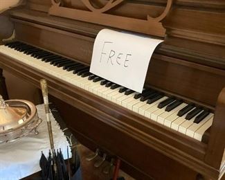 FREE to a good home!