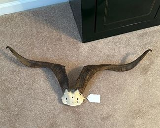 Spanish Goat Horns