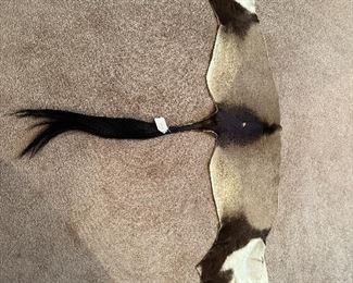 Water Bison Pelt (Asking-