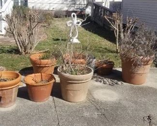 Terra cotta pots