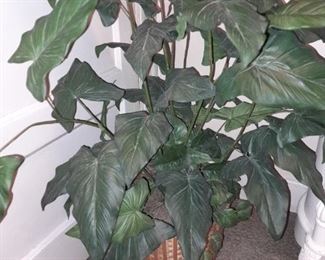 Faux Plant
