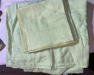 Mint Green Table Cloth and Napkins $10.00