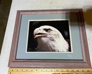 Signed George Hay Eagle 17 X 14 inches Photo $15.00