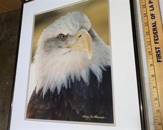 20 X 16 Gary Haines Signed Eagle Print  $26.00