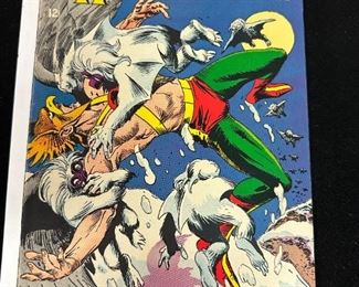 Hawkman Comic Book