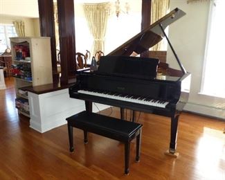 Petrof black polish grand piano