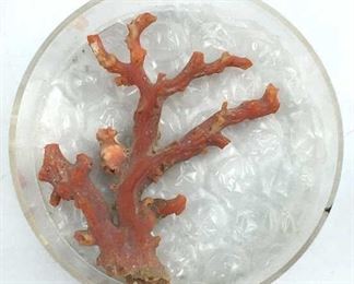 39 Carat Hawaiian Branch Coral