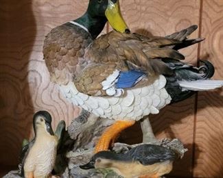 Duck Decor