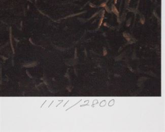 Jesse Barnes print. "Peaceful Evening".  1171/2800.