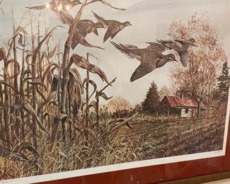 Signed & numbered dove print by R McDonald