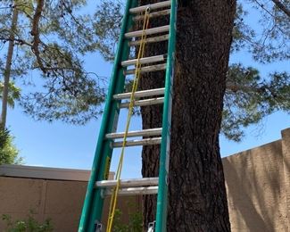 Werner Fiberglass 20-ft Extension Ladder D5900-2 Type 2	20ft	
