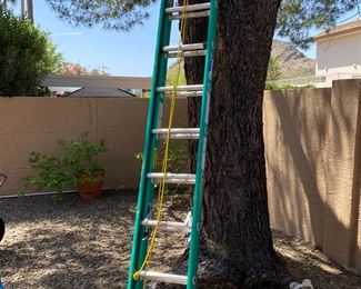 Werner Fiberglass 20-ft Extension Ladder D5900-2 Type 2	20ft	
