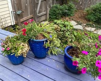 outdoor selections: many glazed pots and flowers