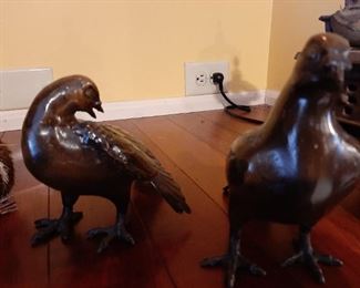 Very heavy beautiful birds