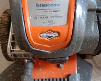 This weed whip will take care of not only a thick bunch of weeds but small trees as well.