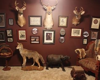 TWO WHITE TAIL DEER, ONE ELK, COYOTE, CARVED WOODEN CAPE WATER BUFFALO