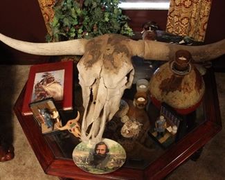 SKULL AND HORNS OF A TEXAS LONG HORN