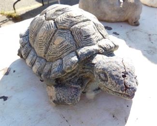 Concrete Turtle