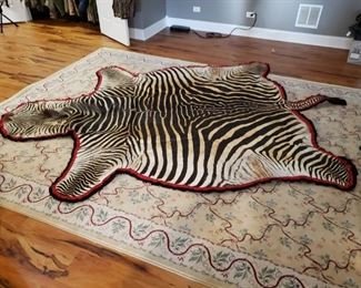 Zebra pelt rug