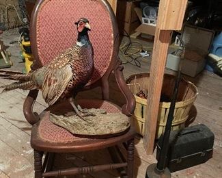 Taxidermy Pheasant, Antique Rocking Chair, extra long spout oil can