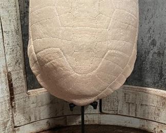 Decorative Snapping Turtle Shell on Stand. Photo 1 of 3. 