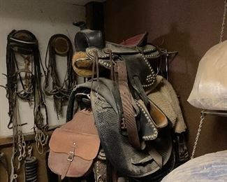 Various Horse Saddles 