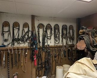 Horse Bridles & Reins with Bits and Halters 