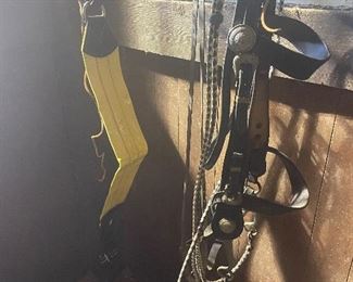 English Riding Horse Saddle Girth and Horse Bridle and Reins 