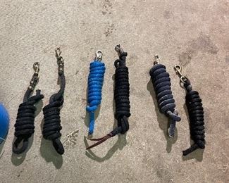 Horse Ground Work Rope with Bull Snap