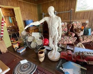 Anatomical study of male statue after Jean-Antoine Houdon