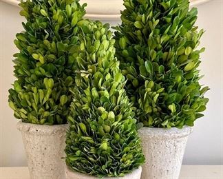 (3) Boxwood Topiaries 