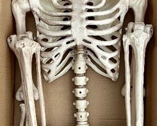 Grandin Road Skeleton