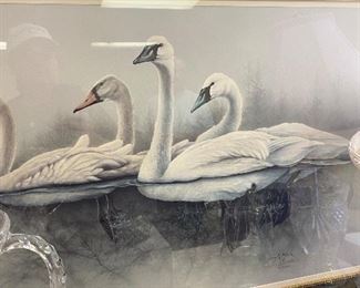 Trumpeter Swan Family by
Larry Martin