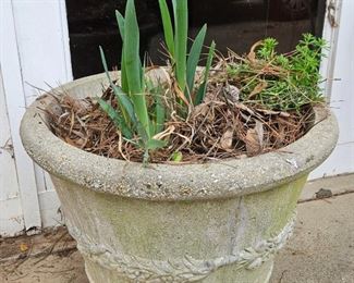 Large Concrete Planters