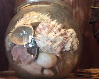 Shells in vase