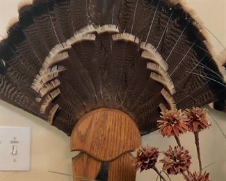 Pair of turkey feathers fans on wood