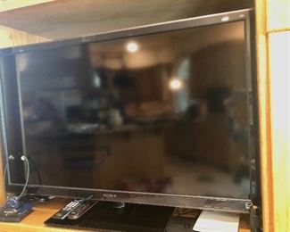 Sony 48" TV