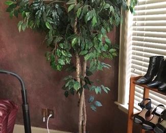 Silk ficus tree