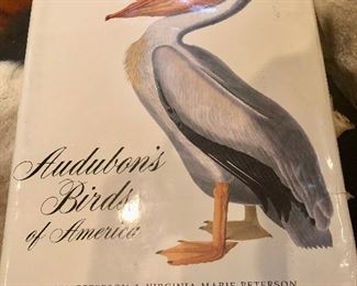 Large Audubon's birds book