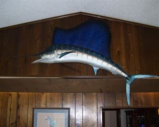 Large Sailfish Mount (caught off coast of Miami in the 1970's)