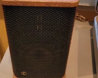 Vintage Aiwa Speakers