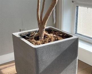 Cast Cement Planter