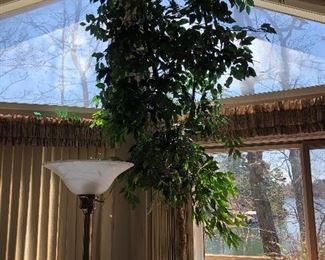 A GIANT silk Ficus tree. It’s huge!
I think it’s around 16’