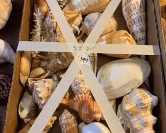 #194	Box of Shells	 $20.00 
