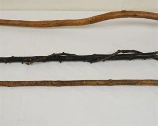 1170	GROUP OF 3 ANITQUE RUSTIC CANES & WALKING SITCK
