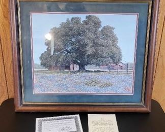 Bluebonnets And Big Oak Limited Print