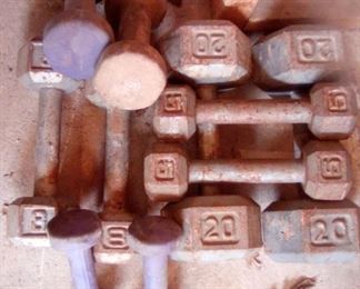 Exercise Bar Weights