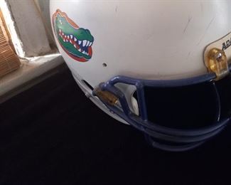 Gator Helmet 